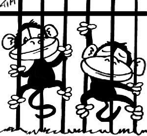 monkey_cage